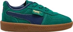 Puma  Kinderschuhe 397274_35_palermo_ac_inf