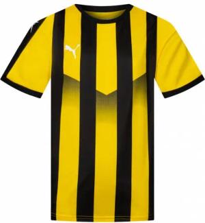 PUMA Liga Striped Kinder Trikot 703425-07