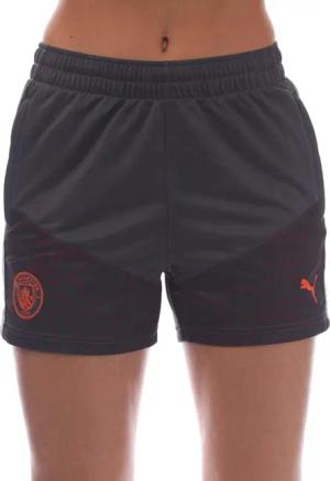 Puma - "Manchester City 2023-24" Shorts für Herren - Training (Grau)