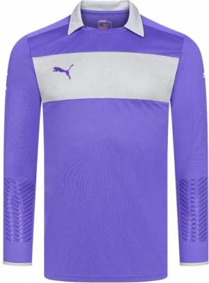 PUMA PowerCat PWR-C 1.12 GK Shirt Herren Torwarttrikot 701201-46