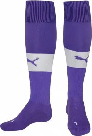 PUMA PowerCat Stutzen 701232-46