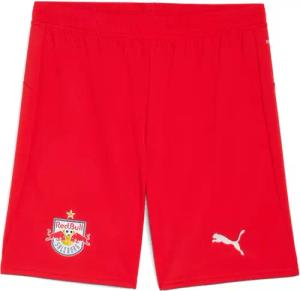Puma RBS Shorts Replica