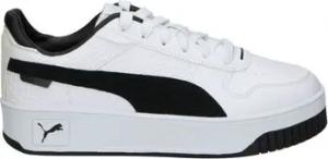 Puma  Schuhe 389393-01