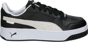Puma  Schuhe 389393-02