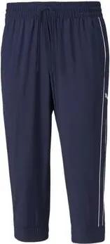 Puma  Shorts 521681-06