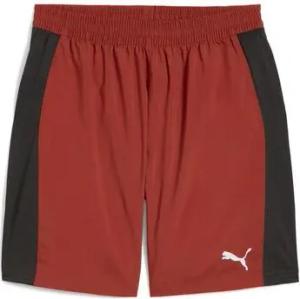 Puma  Shorts 525800-63