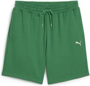 Puma  Shorts 629654-86