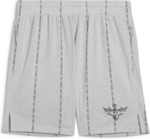 Puma  Shorts 630756-02