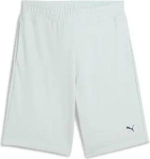 Puma  Shorts 684715-50