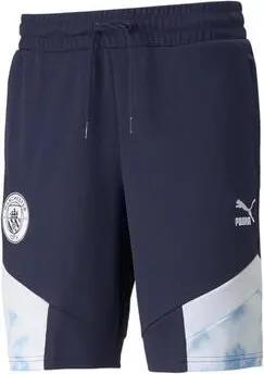 Puma  Shorts 765203-05