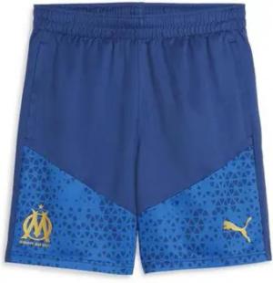 Puma  Shorts 771930-20