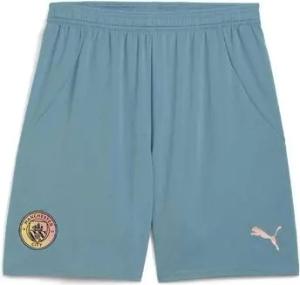 Puma  Shorts 775114-08