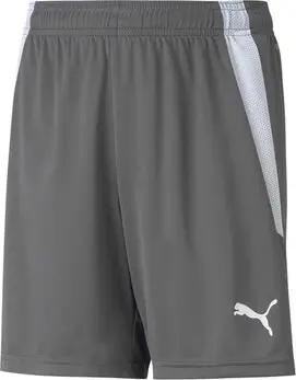 Puma  Shorts Kinder Teamliga Jr