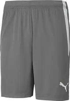Puma  Shorts Teamliga