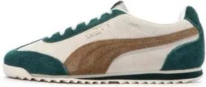 Puma  Sneaker 399664-02