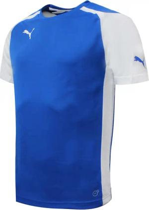 Puma Speed ​​Jersey Training Fitnessstudio Sport T -Shirt Blue - Herren