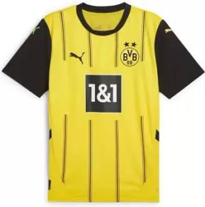 Puma  T-Shirt Bvb Home