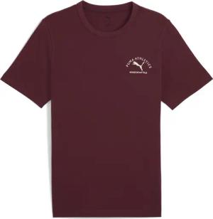 PUMA T-Shirt "PUMA Class T-Shirt mit Grafik Herren"