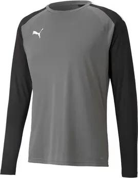 Puma  T-Shirts & Poloshirts Teampacer Gk Ls Jersey