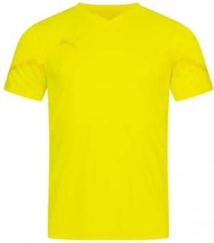 PUMA teamFLASH Herren Trikot 704394-23