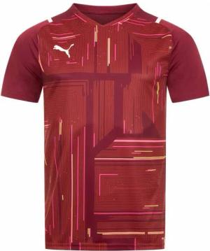 PUMA teamULTIMATE Jersey Herren Trikot 704389-09