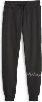 Puma  Trainingsanzüge 676649-01