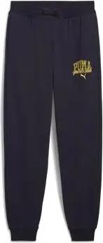 Puma  Trainingsanzüge 685800-16