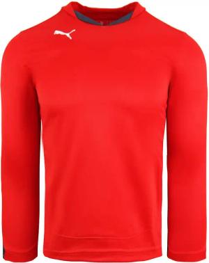 Puma v5.08 Buffon Torhüterhemd Langarm Red Mens Top 700489 24