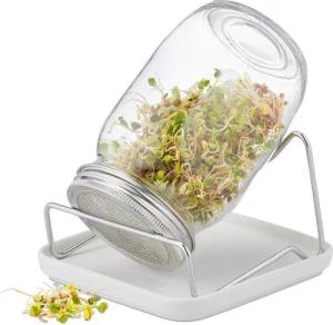 relaxdays Kräutertopf Sprossenglas mit Gestell und Schale