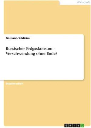 Russischer Erdgaskonsum - Verschwendung ohne Ende?