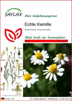SAFLAX Blumensamen SAFLAX - Samen - Echte Kamille