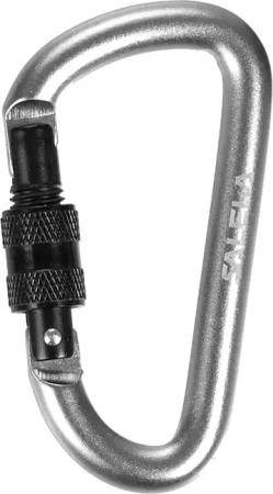 Salewa D-shape Screw Karbiner