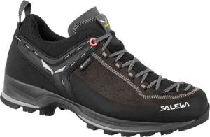 Salewa Damen MTN Trainer 2 GTX Schuhe
