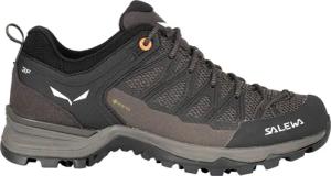 Salewa Damen MTN Trainer Lite GTX Schuhe