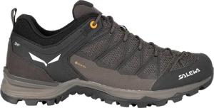 Salewa Herren MTN Trainer Lite GTX Schuhe
