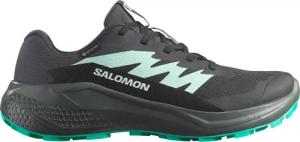 Salomon Damen Alphaglide GTX Schuhe