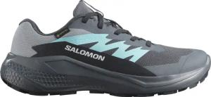 Salomon Damen Alphaglide GTX Schuhe