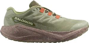 Salomon Herren Aero Blaze 3 GRVL GTX Schuhe