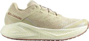 Salomon Herren Aero Glide 3 GRVL Schuhe