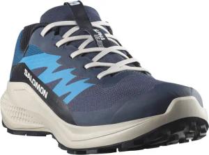 Salomon Herren Alphaglide GTX Schuhe