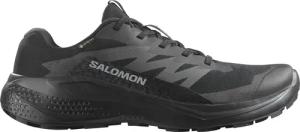 Salomon Herren Alphaglide GTX Schuhe