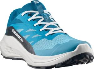 Salomon Herren Alphaglide Schuhe