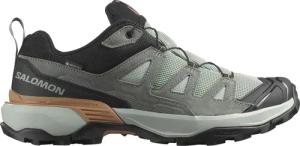 Salomon Herren X Ultra 360 LTR GTX Schuhe