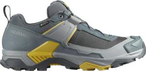 Salomon Herren X Ultra 5 GTX Schuhe
