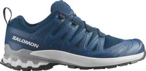 Salomon Herren XA Pro 3D V9 Schuhe