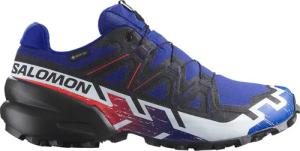 Salomon Speedcross 6 Gtx Equipe Schuhe