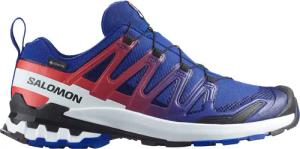 Salomon XA Pro 3D V9 GTX Equipe Schuhe