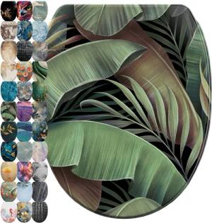 Sanilo WC-Sitz mit Absenkautomatik & Top Fix in vielen Designs, hochwertig, abnehmbar, leichte Montage von oben, mit Schraubenzieher