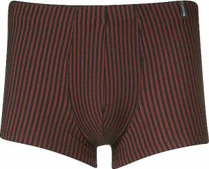 SCHIESSER Pants LONG LIFE SOFT rot rot | XL