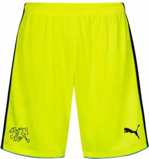 Schweiz PUMA Torwart Shorts 748703-05Y